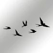 Fém fali dekoráció, Crow