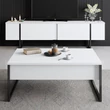 Dohányzóasztal Luxe - White, Black