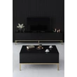TV szekrény Lord - Black, Gold