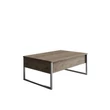 Dohányzóasztal Luxe - Walnut, Silver