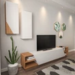 TV szekrény Zebra - White, Teak