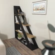 könyvespolc Pisagor - Black, Oak