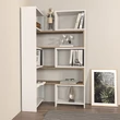 könyvespolc Poyraz - White, Walnut