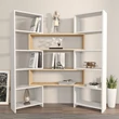 könyvespolc Poyraz - White, Oak
