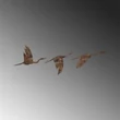 Fém fali dekoráció, Rusty Birds 1