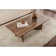 Dohányzóasztal Sabin - Walnut