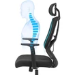 Irodai szék, ergonomikus forgó szék deréktámasszal