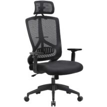 SONGMICS Irodai szék, ergonomikus szék, asztali szék ágyéki támogatással, dönthető mechanizmus, állítható kartámaszok és fejtámla, fekete OBN53BK