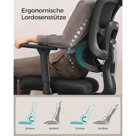 Irodai szék, ergonomikus szék magas háttámlával, fekete