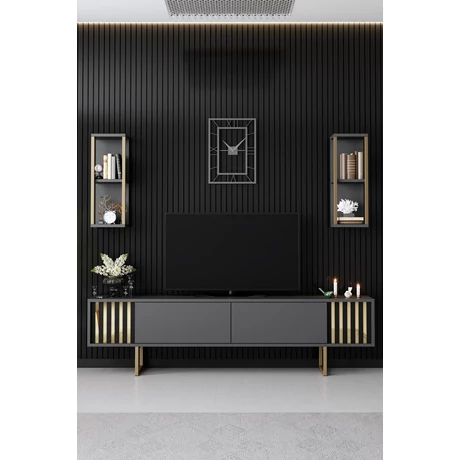 TV szekrény Gold Line - Anthracite, Black