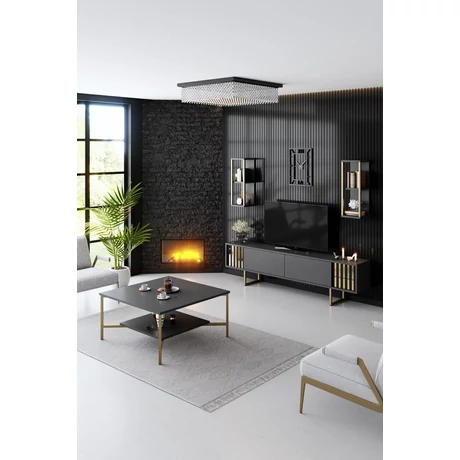 TV szekrény Gold Line - Anthracite, Black