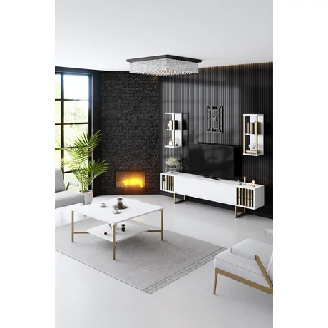 TV szekrény Gold Line - White, Black