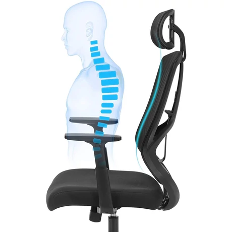 Irodai szék, ergonomikus forgó szék deréktámasszal